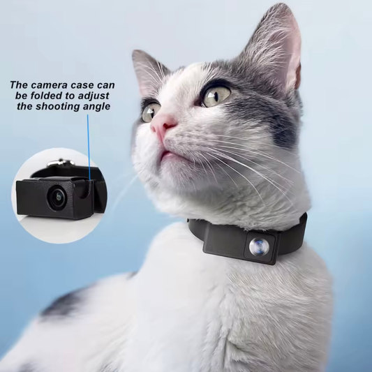 1080P Leather Cat Camera Collar