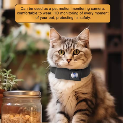 1080P Leather Cat Camera Collar