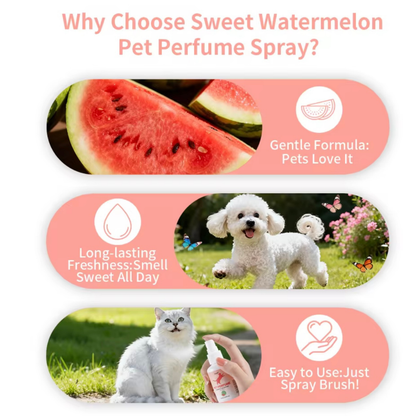 Pet Odor Eliminator for Strong Odor | Pet perfume